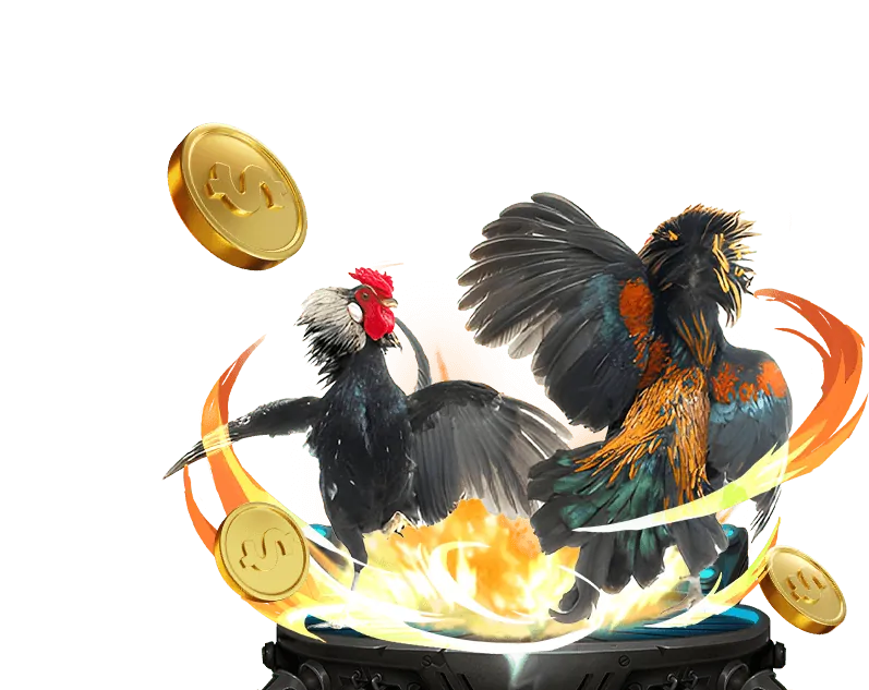 Đá gà C2 trực tiếp