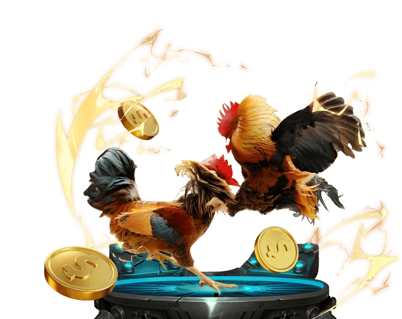 Cá cược an toàn và minh bạch